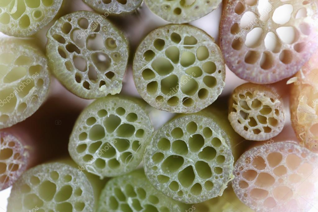 Images stem vegetables Lotus stem vegetables — Stock Photo