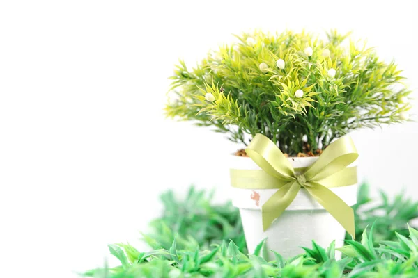 Цветочный горшок с зеленой травой изолированы — стоковое фото