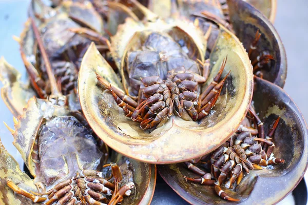 在泰国市场的新鲜马蹄蟹。 — 图库照片