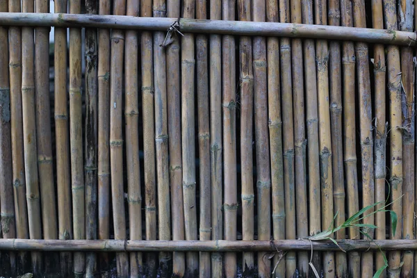 Sfondo di bambù naturale — Foto Stock