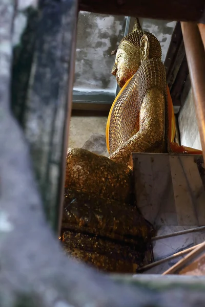 Buddha-Bild im alten Tempel — Stockfoto