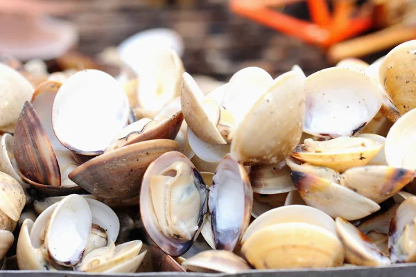 Shellfish grilled on the stove — Stock Photo, Image