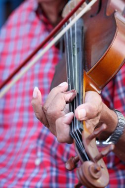 insanlar keman çalıyordu