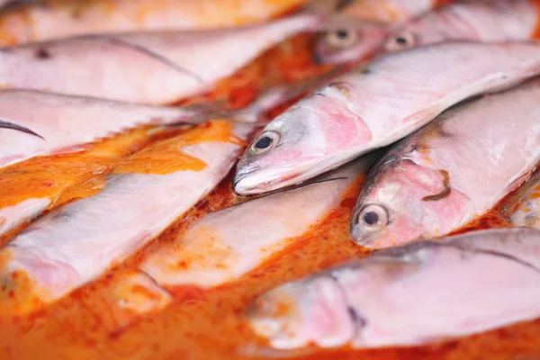Fischcurry in der Pfanne gekocht — Stockfoto