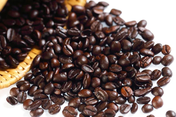 白い背景上のコーヒー豆 — ストック写真