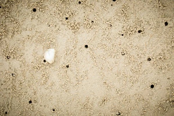 Sabbia con fori di granchi — Foto Stock