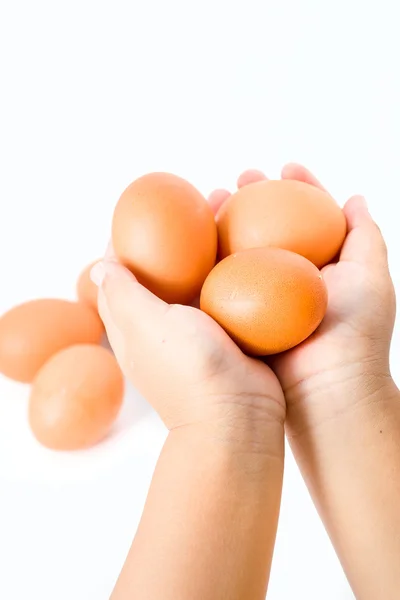 Руки держат коричневые яйца. Изолированный на белом фоне Лицензионные Стоковые Изображения