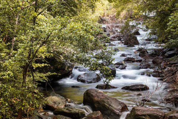 Aard van de waterval in het forest — Stockfoto