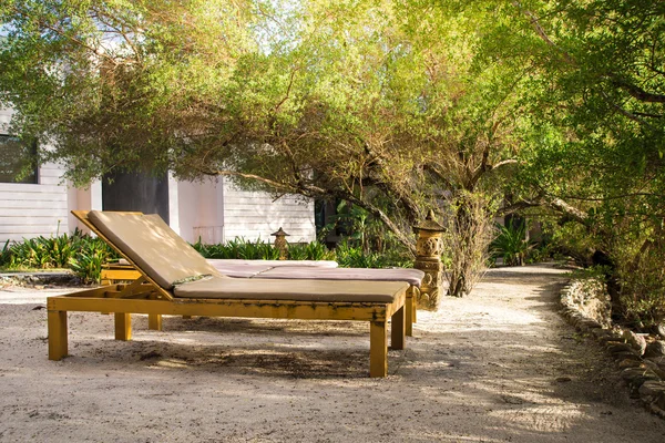 Wooden reclining chair in Natural parks — Stock Photo, Image