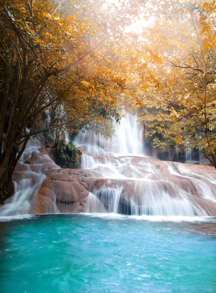 Ormanda güzel bir şelale