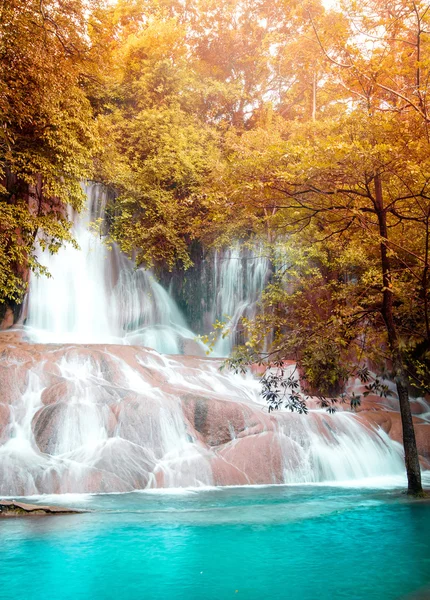 Krásný vodopád v lese — Stock fotografie