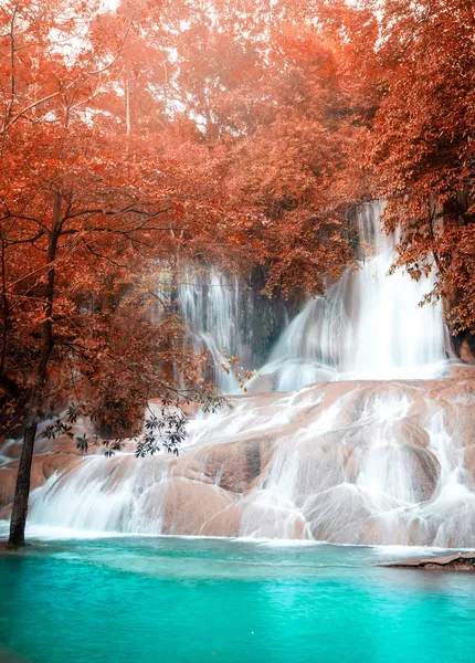 Belle cascade dans la forêt — Photo