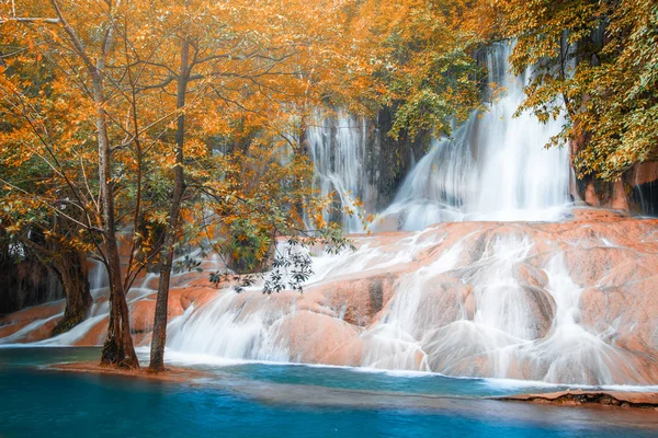 Ormanda güzel bir şelale