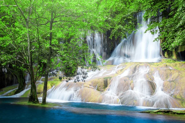 Bella cascata nella foresta — Foto Stock