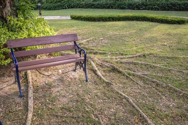 Bahçedeki tahtadan sandalyeler — Stok fotoğraf