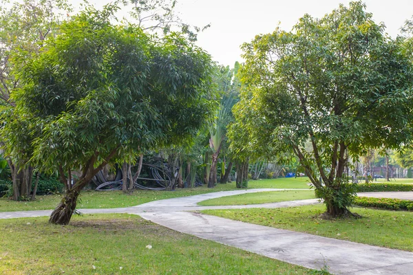 Caminho em um jardim — Fotografia de Stock