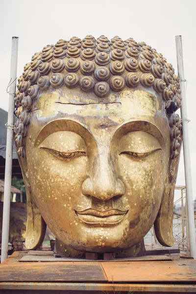 Buddhakopf — Stockfoto