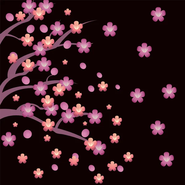 Pflaumenblüten Hintergrund — Stockvektor
