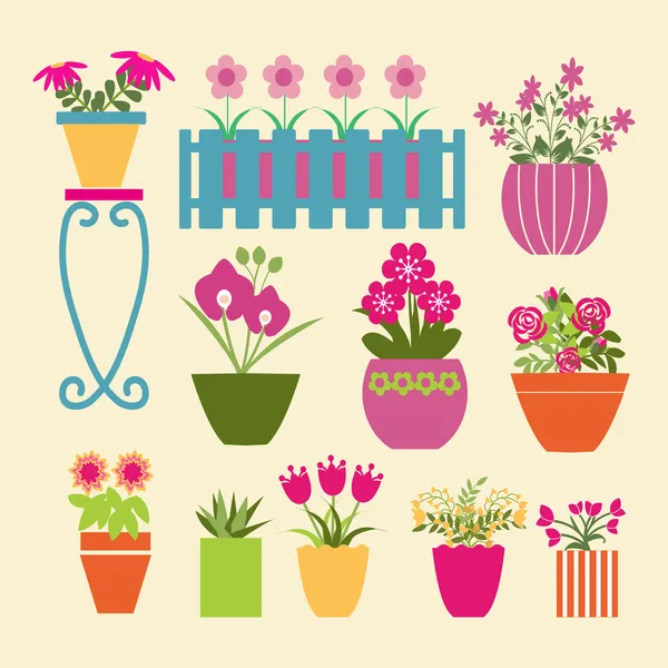 Tencere Seti bitkiler bahçe çiçekleri ve otlar