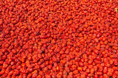 kurutulmuş hünnap yakın çekim