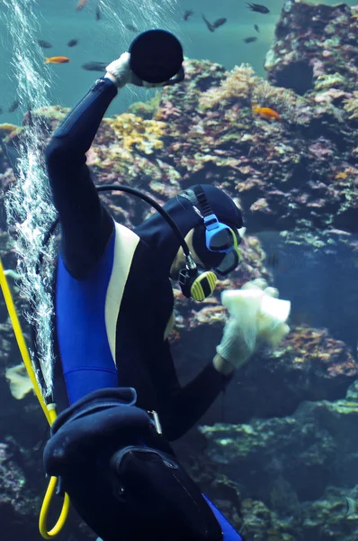Potápěč je pod vodou — Stock fotografie