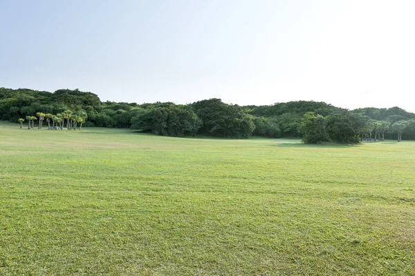 Green grassland , Eluanbi Park, Kenting, Pin-Don,Taiwan — Stock Photo, Image