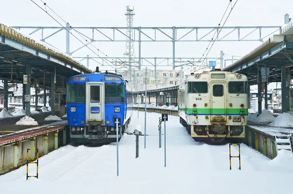 Hakodate City, Japón, 22 de diciembre de 2009: Hakodate Station Ho — Foto de Stock