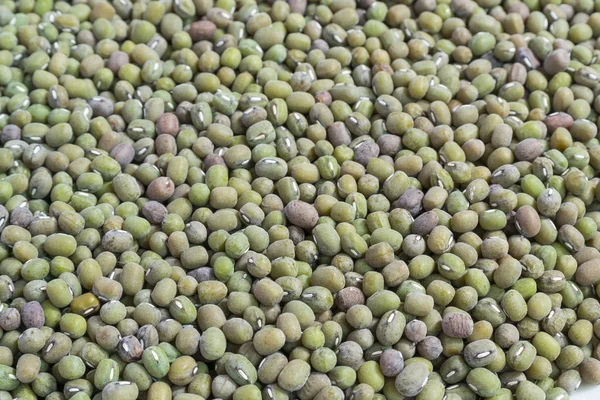 Moldy ymung bean grams close up view — Stock Photo, Image