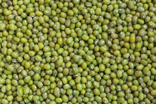 Fresh mung bean grams close up view — Stock Photo, Image