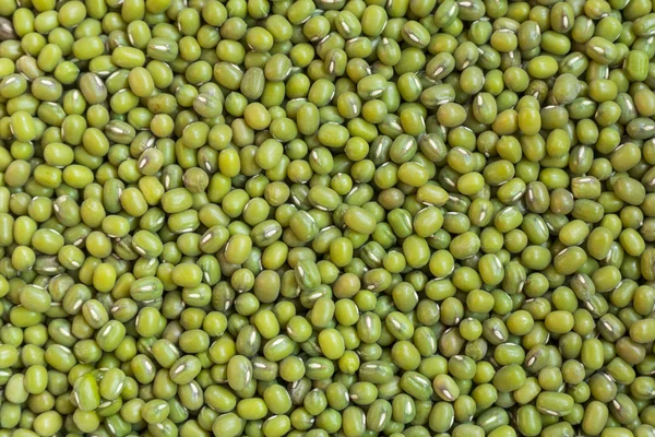 Fresh mung bean grams close up view — Stock Photo, Image