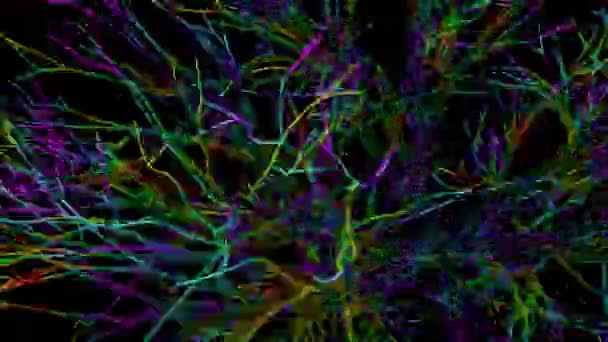 4K风格的抽象动画 多彩网络一种多彩的网络 类似于神经或树枝 在一个连续的循环中旋转 — 图库视频影像