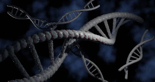 Dna Structure Human Clone Life Bio Technology Gene Bioquímica Concepto — Foto de Stock