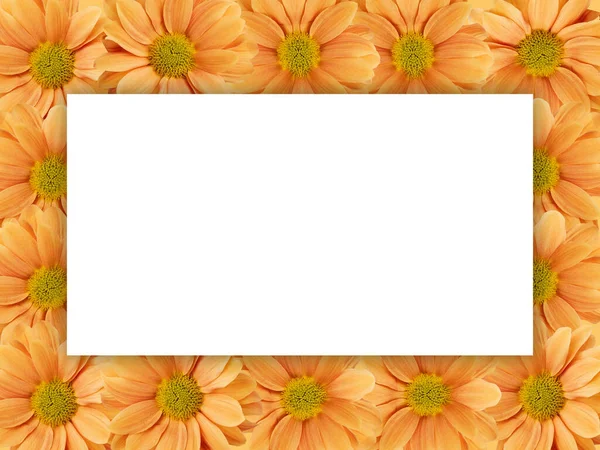 Flower Above Whiteboard and space empty text