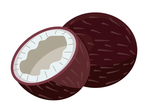 배경에서 코코넛 식품의 아이콘이 나타난다 — 스톡 벡터