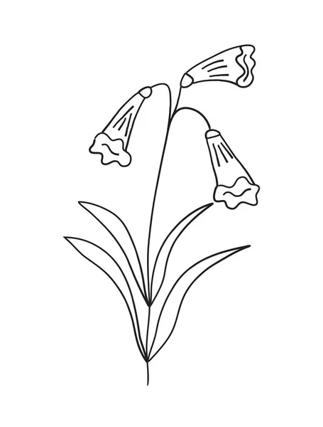 Flower Bell Vector Campanula Leaves Linear Style Logo Nature Field —  Vetores de Stock