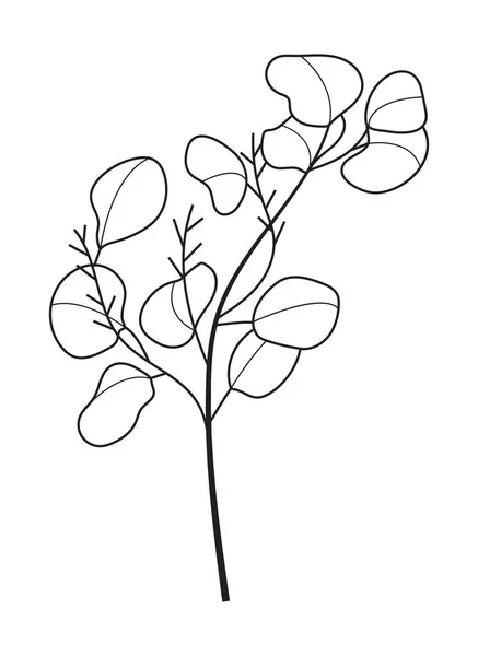 Eucalyptus Branch Vector Line Style Bohemian Eucalyptus Leaves Plant Isolated — стоковий вектор