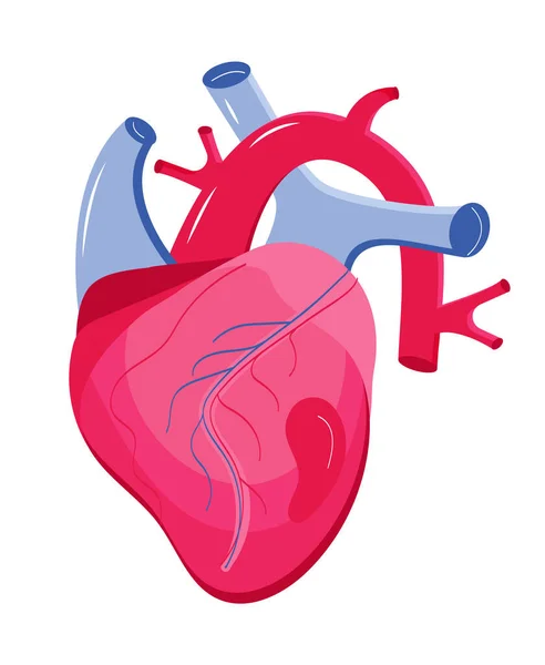Herzsymbolvektor. Herzinfarkt für medizinische Website, Header, Blog. Herzinfarkt, Herzinfarkt — Stockvektor
