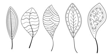 Çizgisel sanat tarzında vektör bırakır. Elle çizilmiş etnik kabile yaprağı boho süsü ile ambalaj kağıdı, duvar kağıdı, tekstil, logo, kumaş, boyama sayfası.