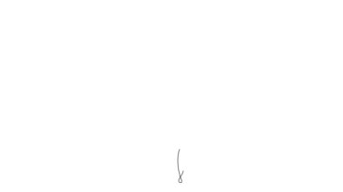 Yoga pose motion in continuous line art, video hand drawing style. Yoga girl minimalism sport clip.