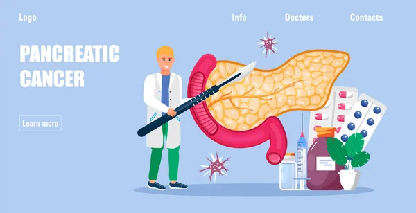 Pancreatitis Concept Vector Medical Website App Pancreas Doctors Examine Oncologist — Stok Vektör