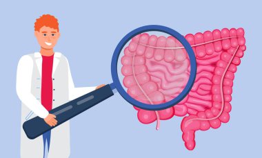 Gastroenterology concept vector. Large and small intestine doctors examine, treat dysbiosis. Gastroenterologist looks through at harmful bacteria. Gastritis, stomach ulcer illustration