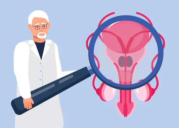 Doctor Looks Prostate Magnifying Glass Prostate Icon Concept Vector Andrology — Vector de stock