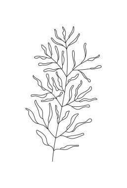 Botanik duvar sanatı soyut vektörleri. Sanat tarzında Boho şubesi vektörü. Eldeki etnik kabile kaktüsü, ambalaj kağıdı, duvar kâğıdı, tekstil, logo, kumaş için bohem süsü ile çizilmiş..