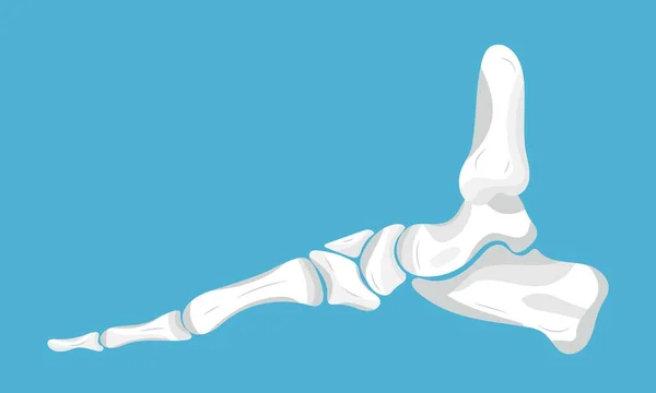 Voetpictogram Van Radiografie Röntgenconcept Vector Blauwe Achtergrond Beentrauma Pijn Osteoporose — Stockvector