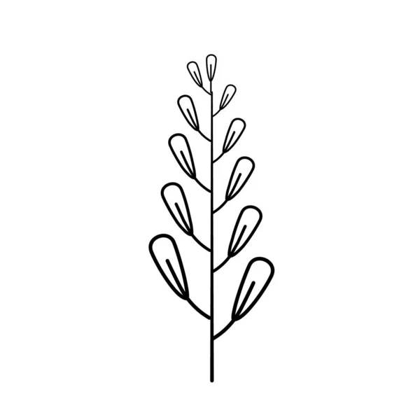 Laurel Branch Vector Line Style Wheat Olive Wreath Icon Victory — Vector de stock
