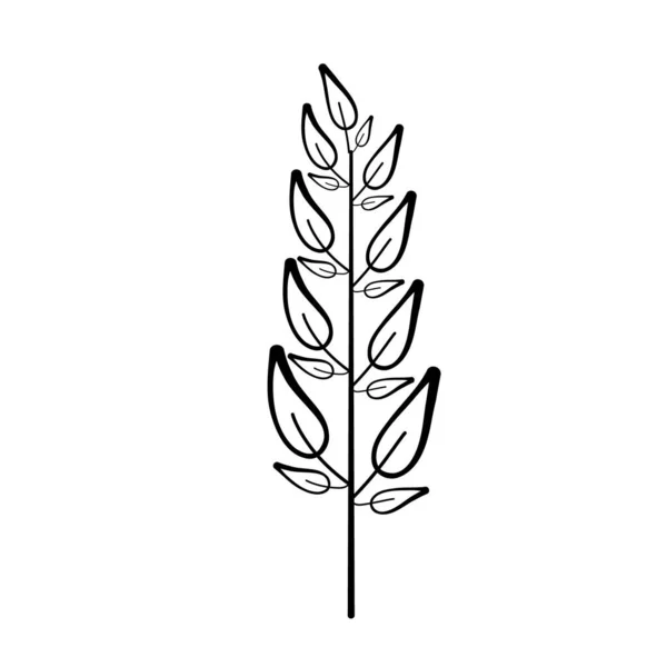 Laurel Branch Vector Line Style Wheat Olive Wreath Icon Victory — Stock vektor