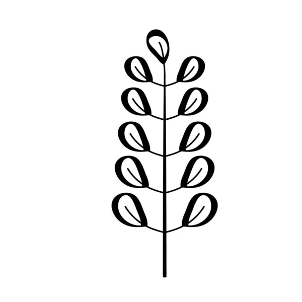 Laurel Branch Vector Line Style Wheat Olive Wreath Icon Victory — Vector de stock