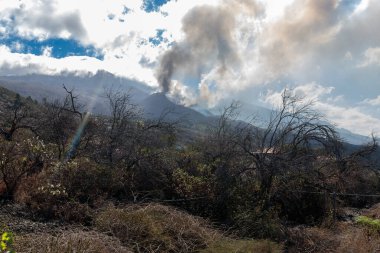 La Palma, Kanarya Adaları - 11 Kasım 2021. Cumbre Vieja Volkanı 'nın patlaması. La Palma.