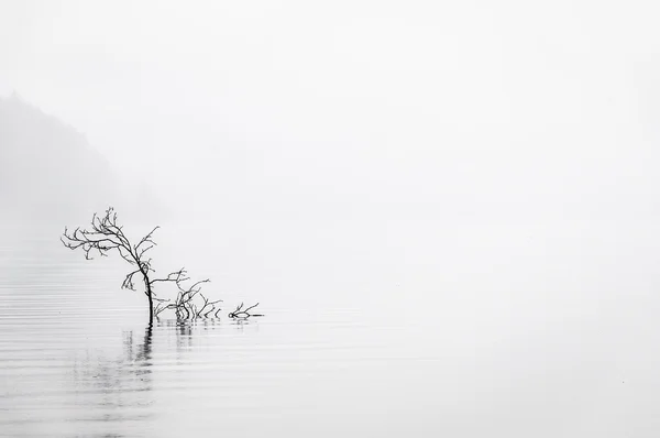 Água calma — Fotografia de Stock