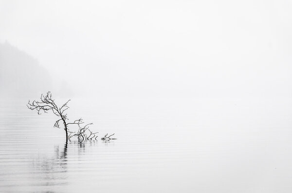 спокойная вода